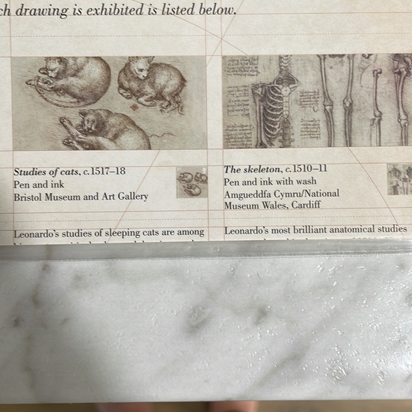 Royal mail mint stamps, Leonardo da Vinci - Picture 5 of 6